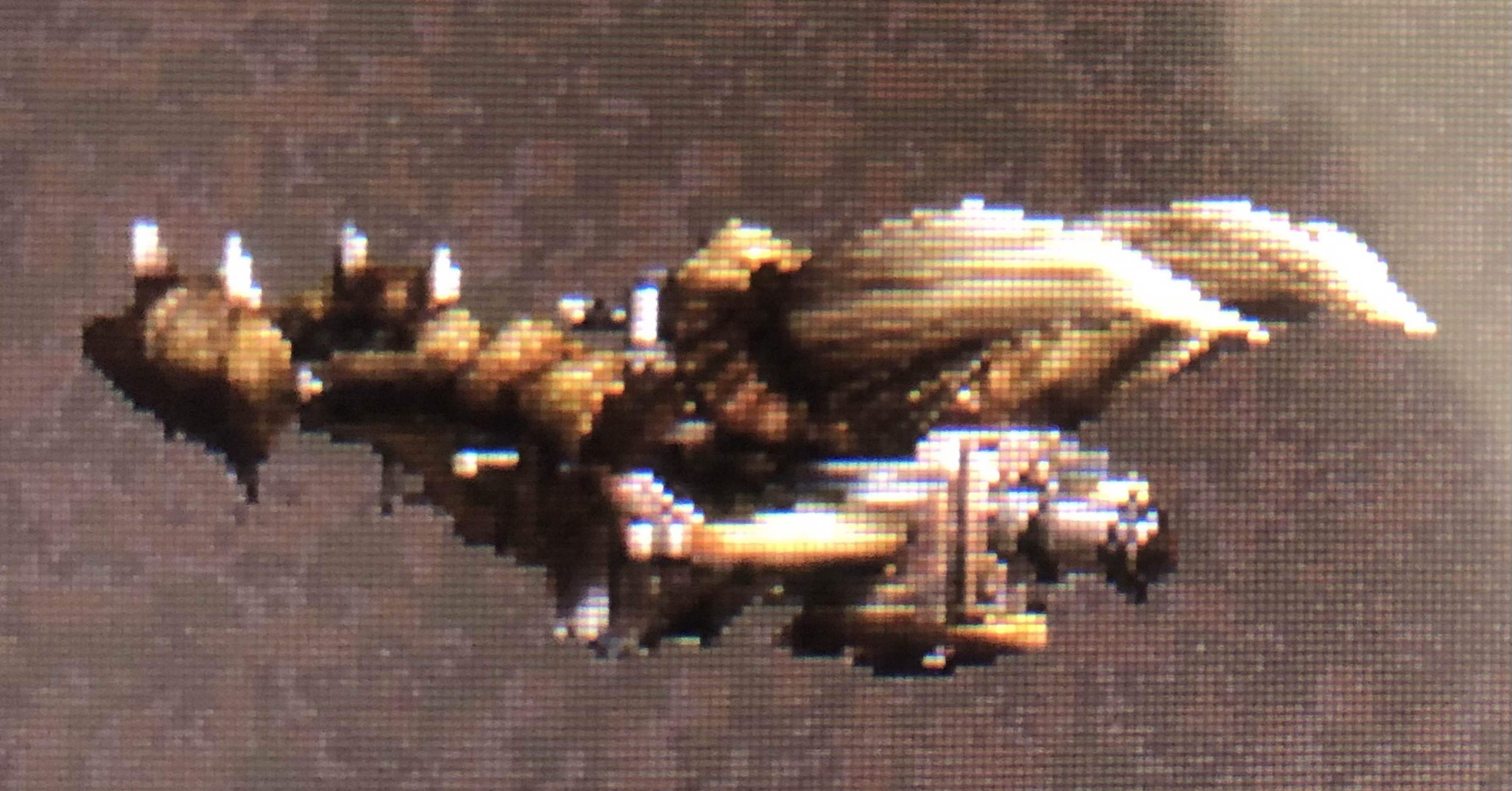 俺にはモラクが1番かもしれない【モンハンxx 雑談】｜ツチノコ