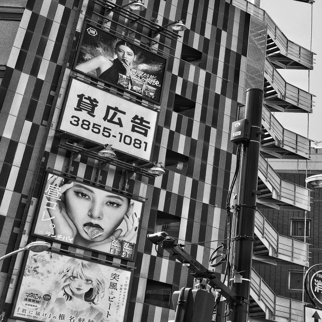 初心者が買ってはいけないカメラ｜🅣ⓄⓀⓎⓄ Ⓢ🅣ⓇⒺⒺ🅣 🄿🄸🅇