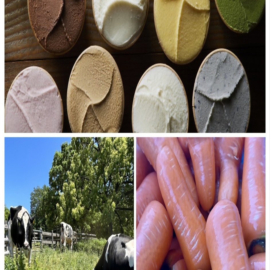 市民と農の架け橋」農業センターdelaふぁーむに遊びに行こう！｜名古屋