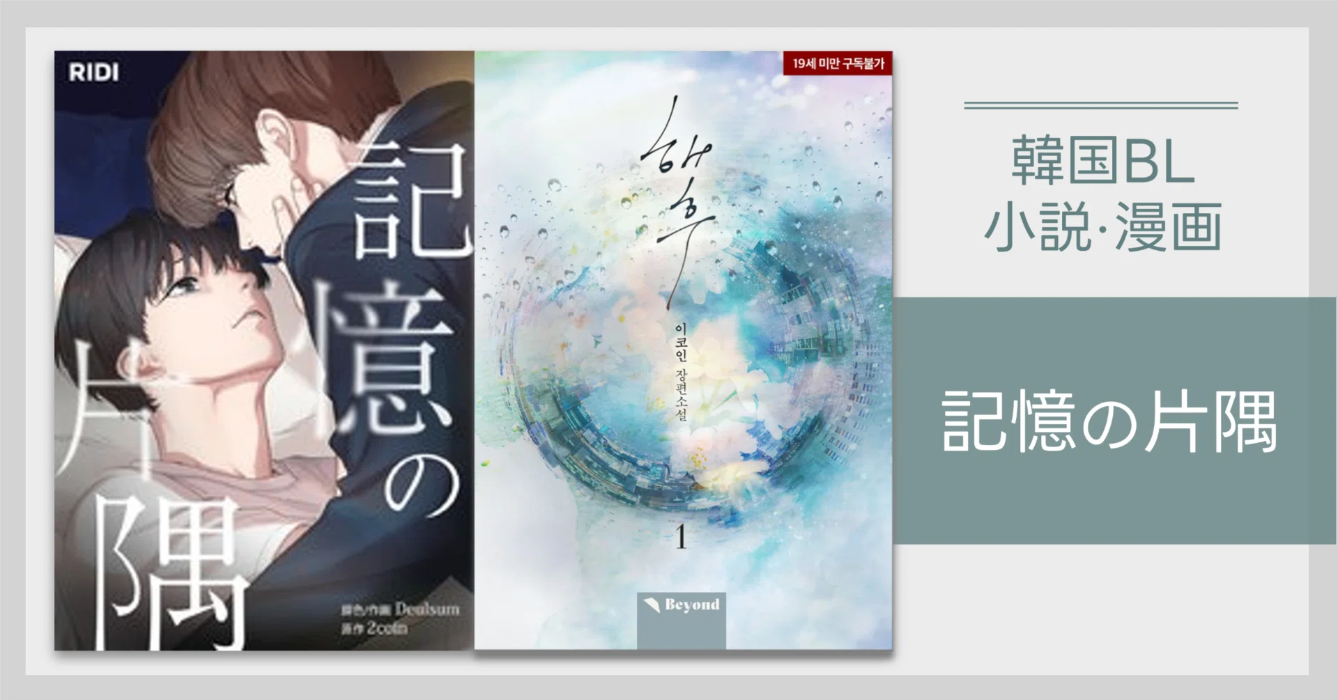 韓国BL】해후(邦題:記憶の片隅)（2coin作/Deulsum画）｜😎