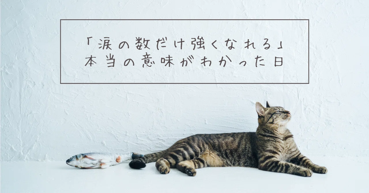 涙 の 数 だけ 強く なれる よ 歌詞