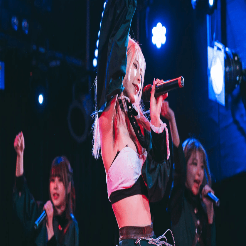 自己流アイドルライブ撮影の話②~使用機材2~｜ある