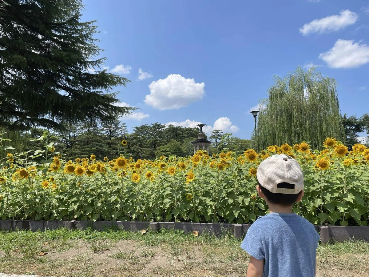 「夏らしい」って、何だろう|虹風 想蒔
