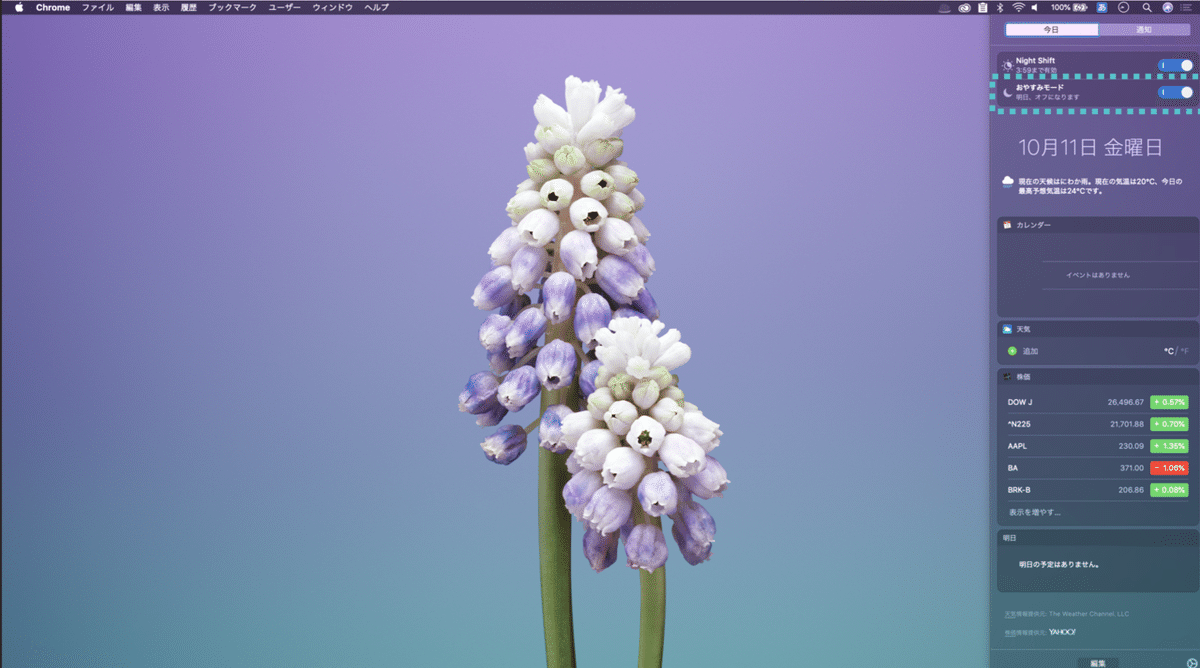 スクリーンショット 2019-10-12 11.56.55