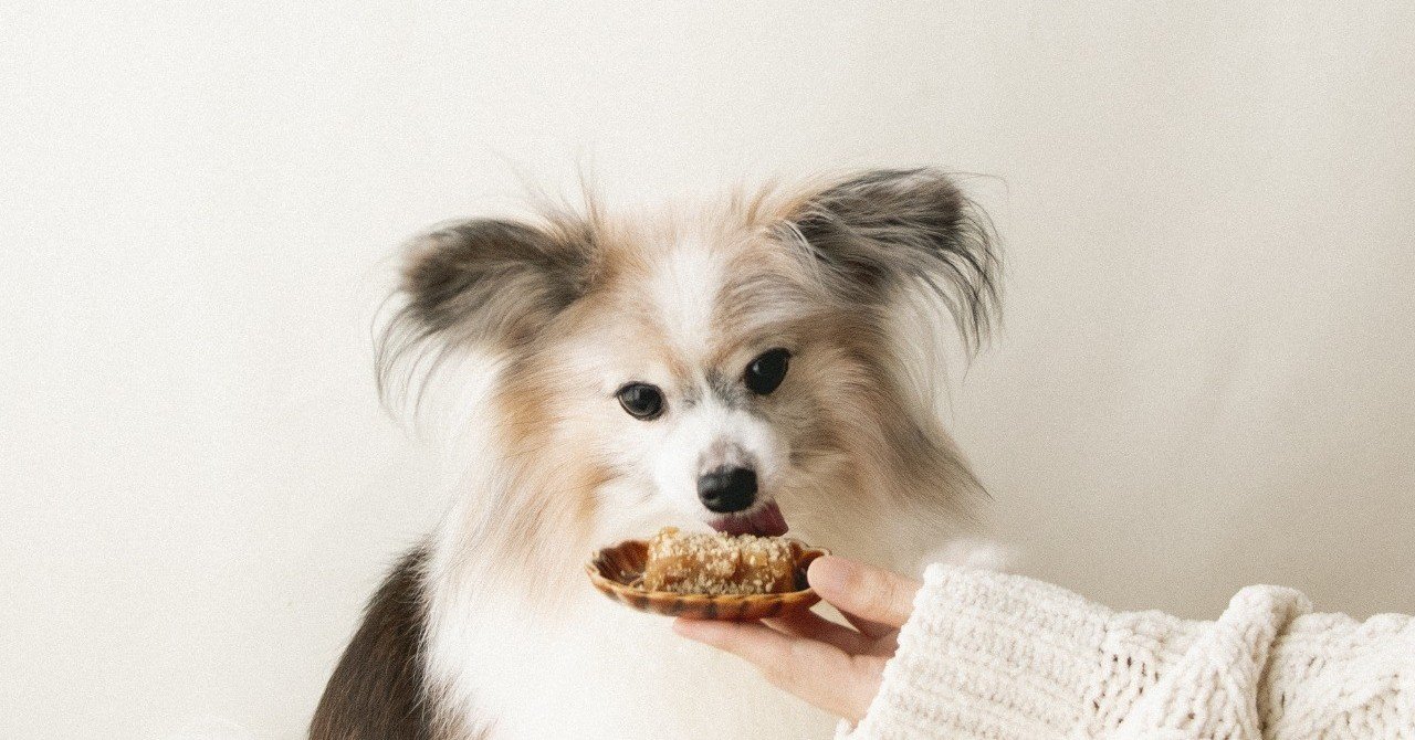 火を使わず簡単調理 干しいもの和風ブラウニー 手作り犬おやつレシピ いちかわあやこ 犬ごはん先生 Note