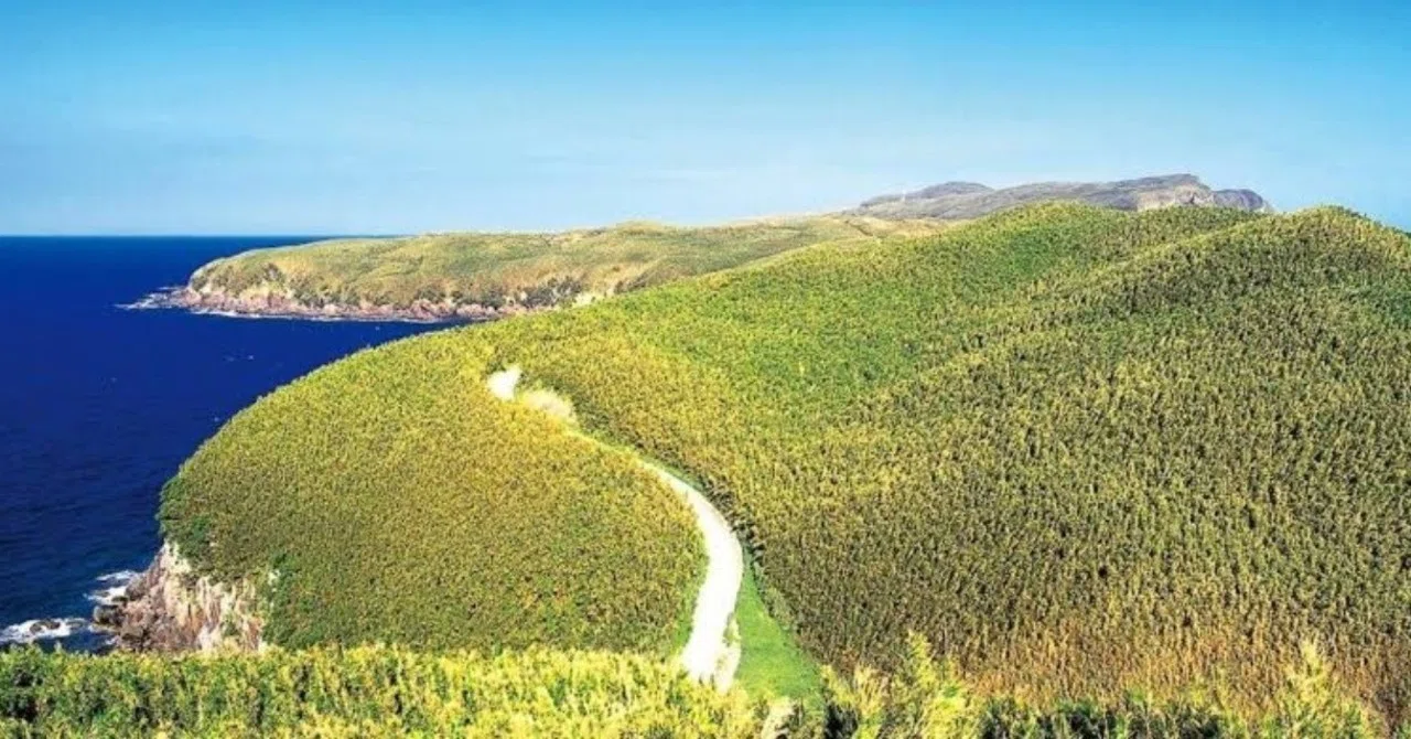 中学生の僕が 小さな島 へ移住した理由 こだま かずや Note 中学生の僕が 小さな島 へ移住した理由 こだま かずや Note