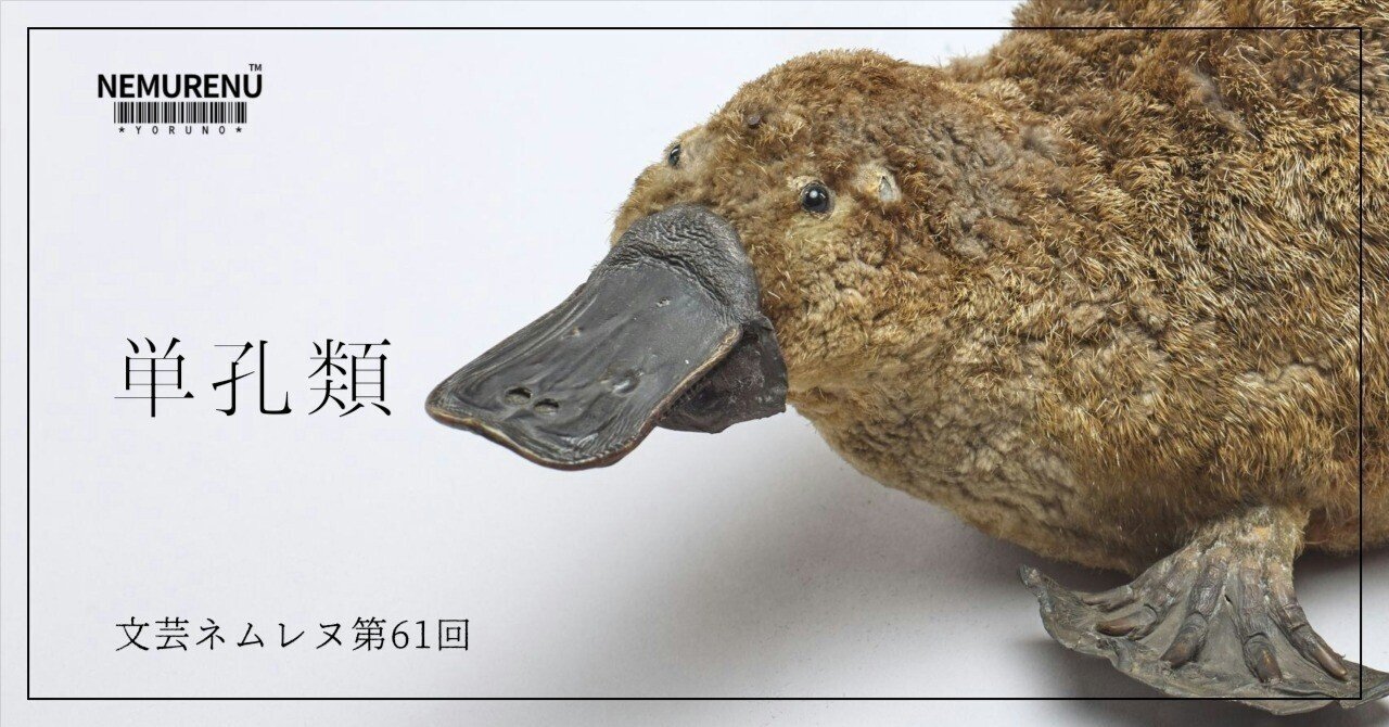 NEMURENU61th【単孔類】解題｜ムラサキ