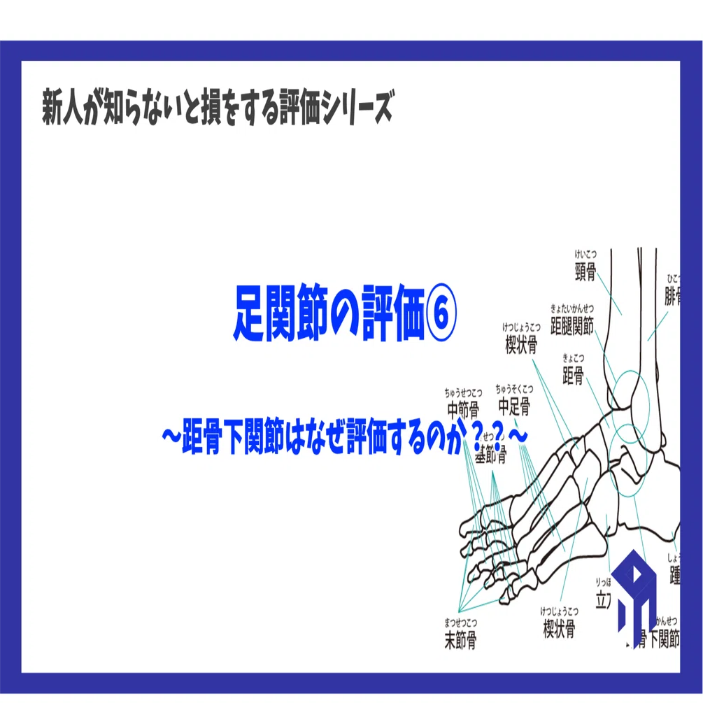 足関節の評価⑥｜加藤淳