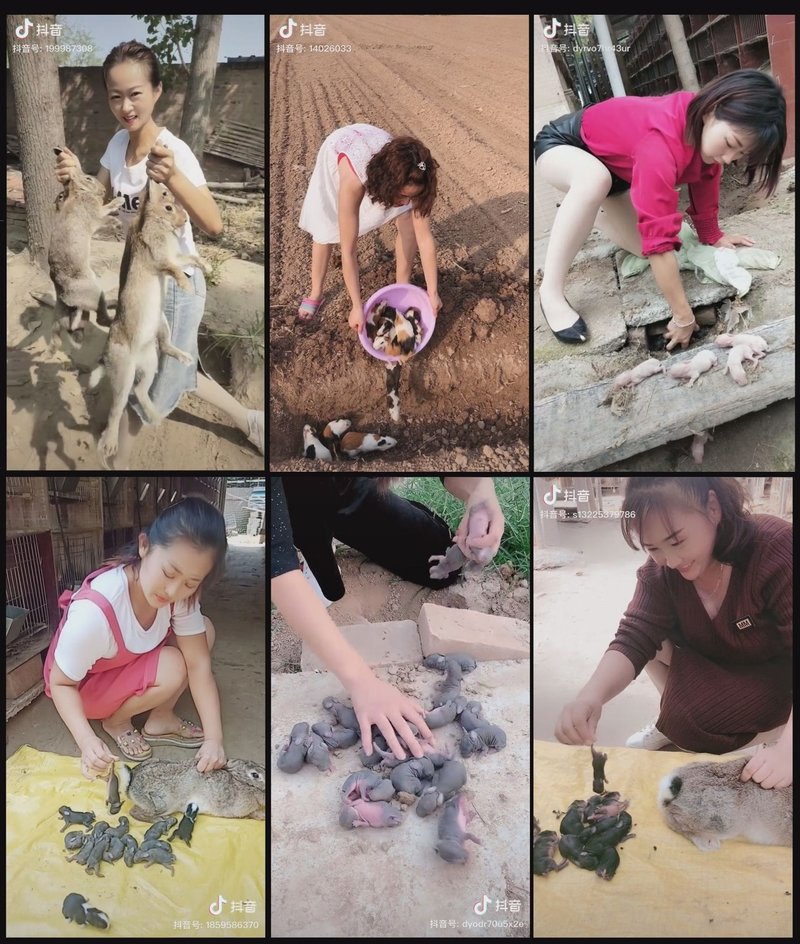 バカッター的な中国人 Meguru Ishida Note