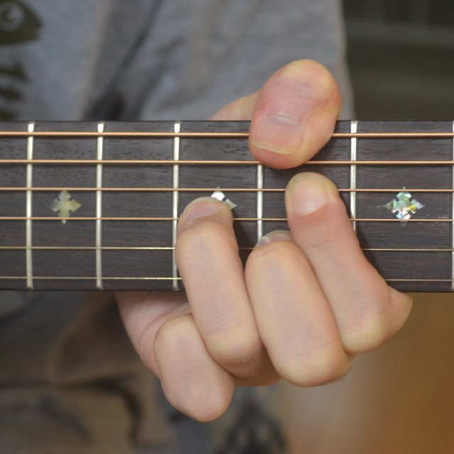 純情息子 くるり Official Note