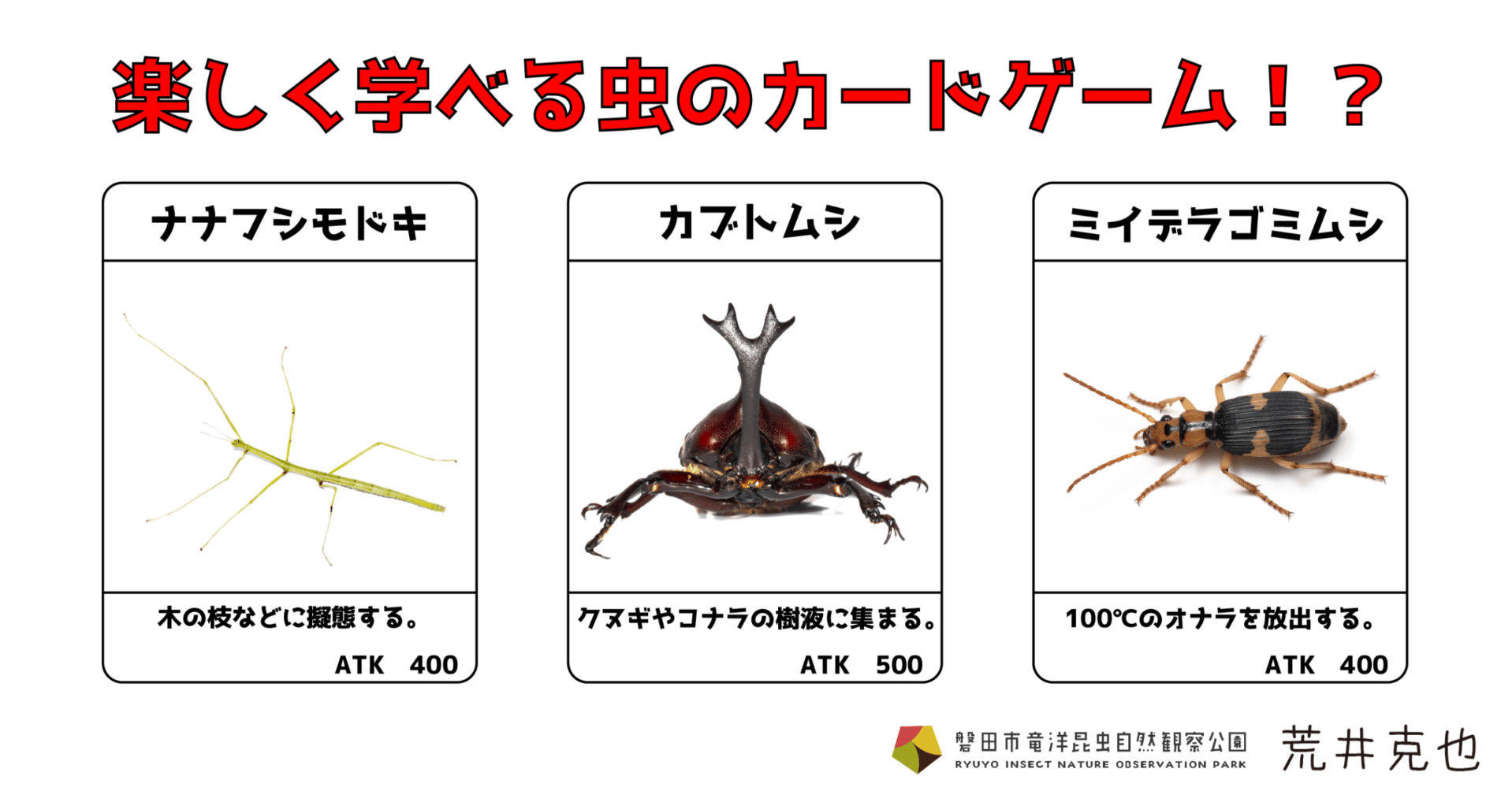 今話題の虫のカードゲーム！｜竜洋昆虫自然観察公園