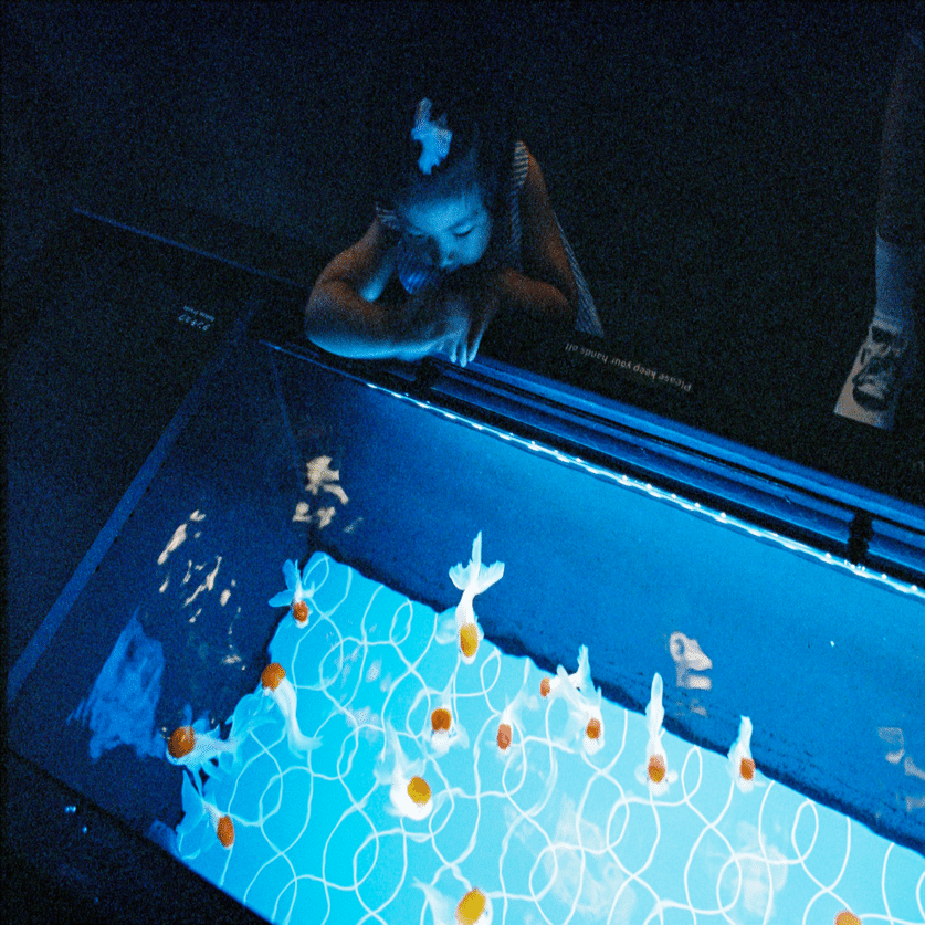 ISO800のフィルム｜サラリーマンの写真日記