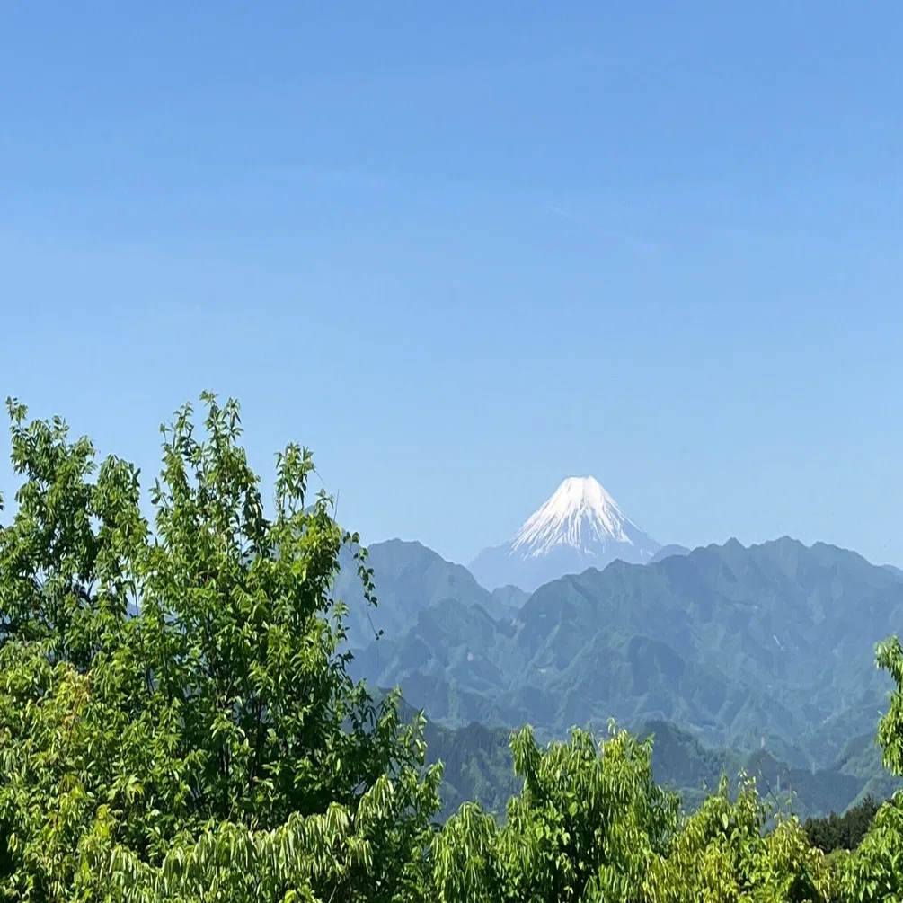 素人登山 高尾山・小仏城山編｜Akinai