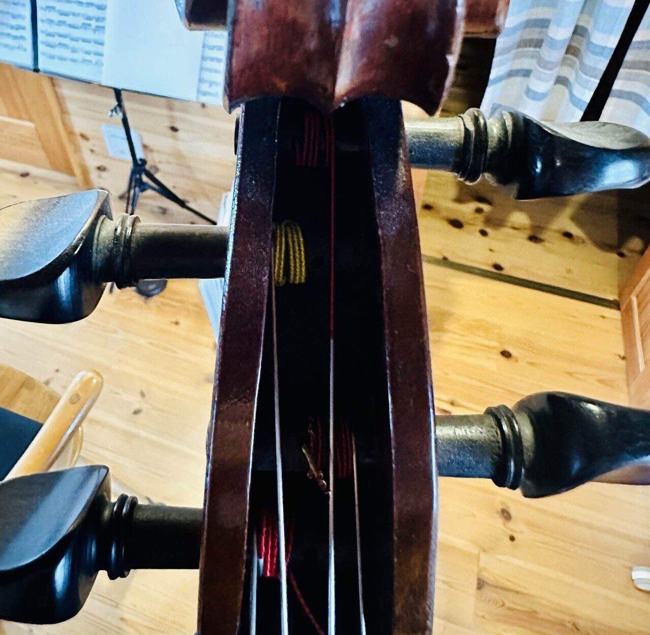 チェロ弦・イルカノーネ Warm＆Broad イルカノーネ チェロ弦｜Cello－Aのブログ