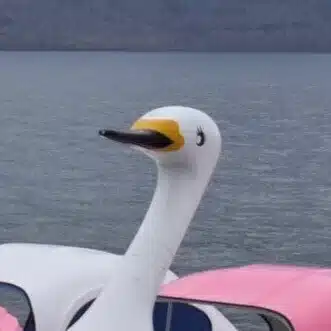 かわ