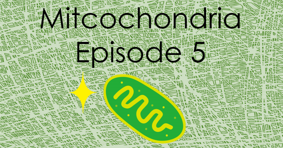 ミトコンドリアのダイナミズム -エピソード5-｜KAWASAKI