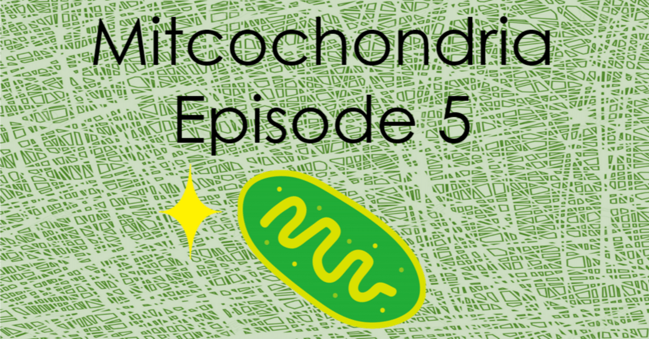 ミトコンドリアのダイナミズム -エピソード5-｜KAWASAKI