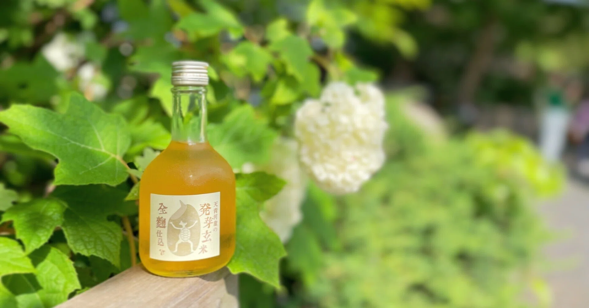GABAたっぷり！『蔵人が醸す酔い薬』発芽玄米酒 3年目を迎えました 