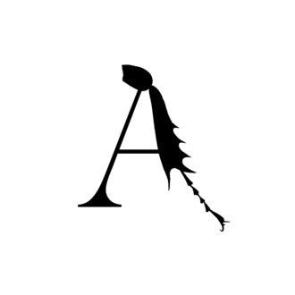 ANTCICADA(アントシカダ)