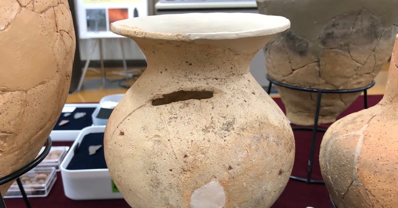 古代佛教遺跡出土完品『紅安南魚草紋酒会壺』桐箱＆極め付 ふるさとの宝物｜青森県立郷土館 Aomori Prefectural Museum