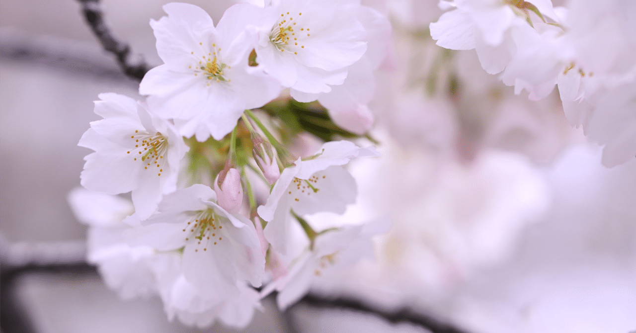 rectangle_large_type_2_56e90a9