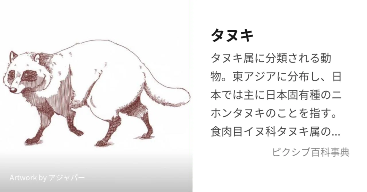 タヌキという動物について|たぬき | 自習の森