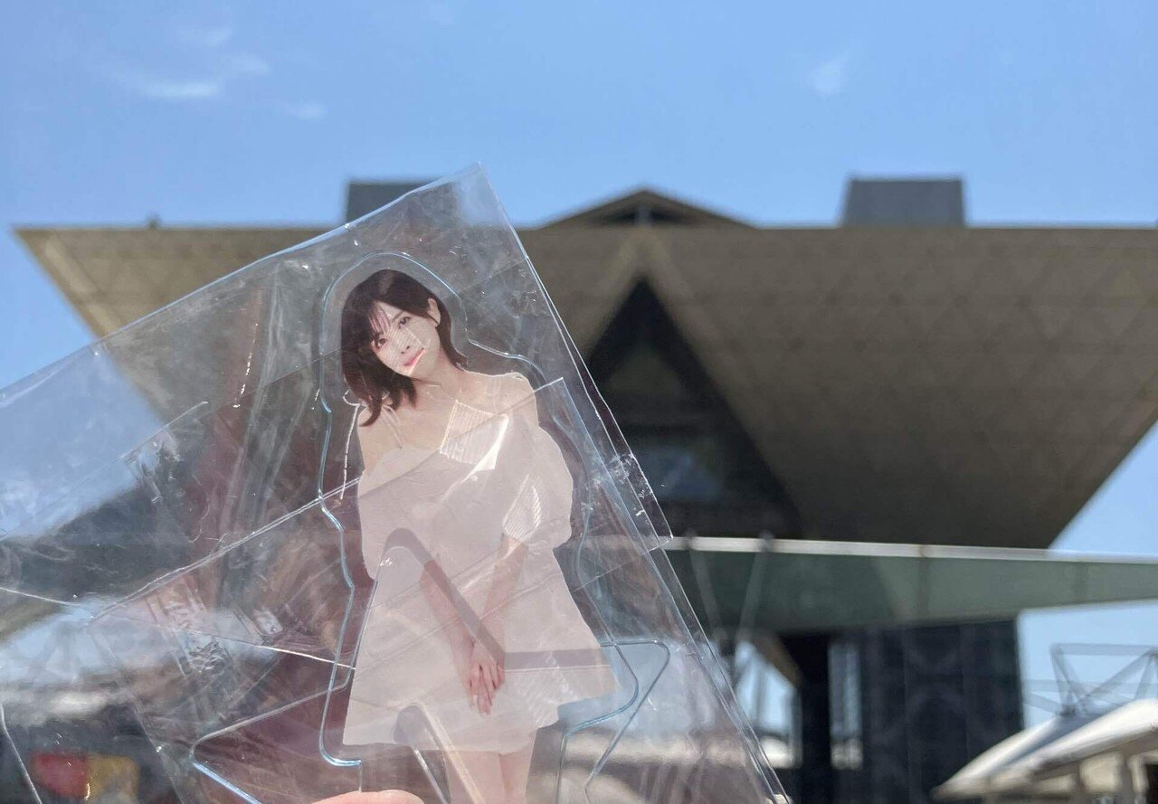 月刊かめちゃん 2024年8月号｜かめちゃん