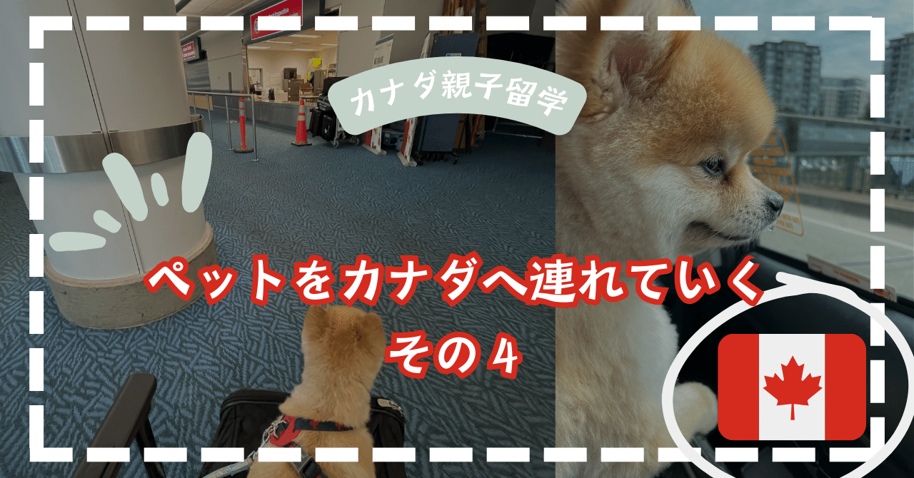 web限定アイテム 4) ペット（犬🐕）をカナダ🇨🇦へ連れていく！｜YMA | CANADA ファンヒーター