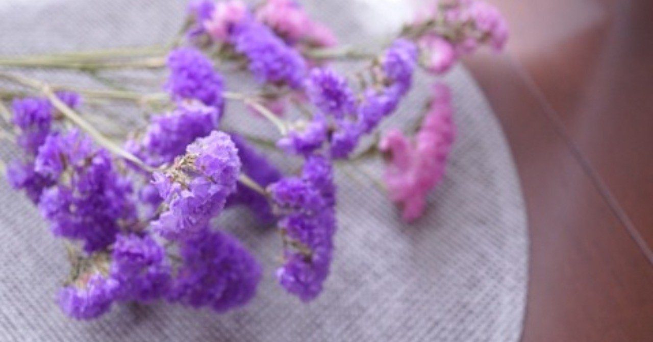 ドライフラワーの女王、スターチスの楽しみ方｜岩田紫苑(ライター&広報)