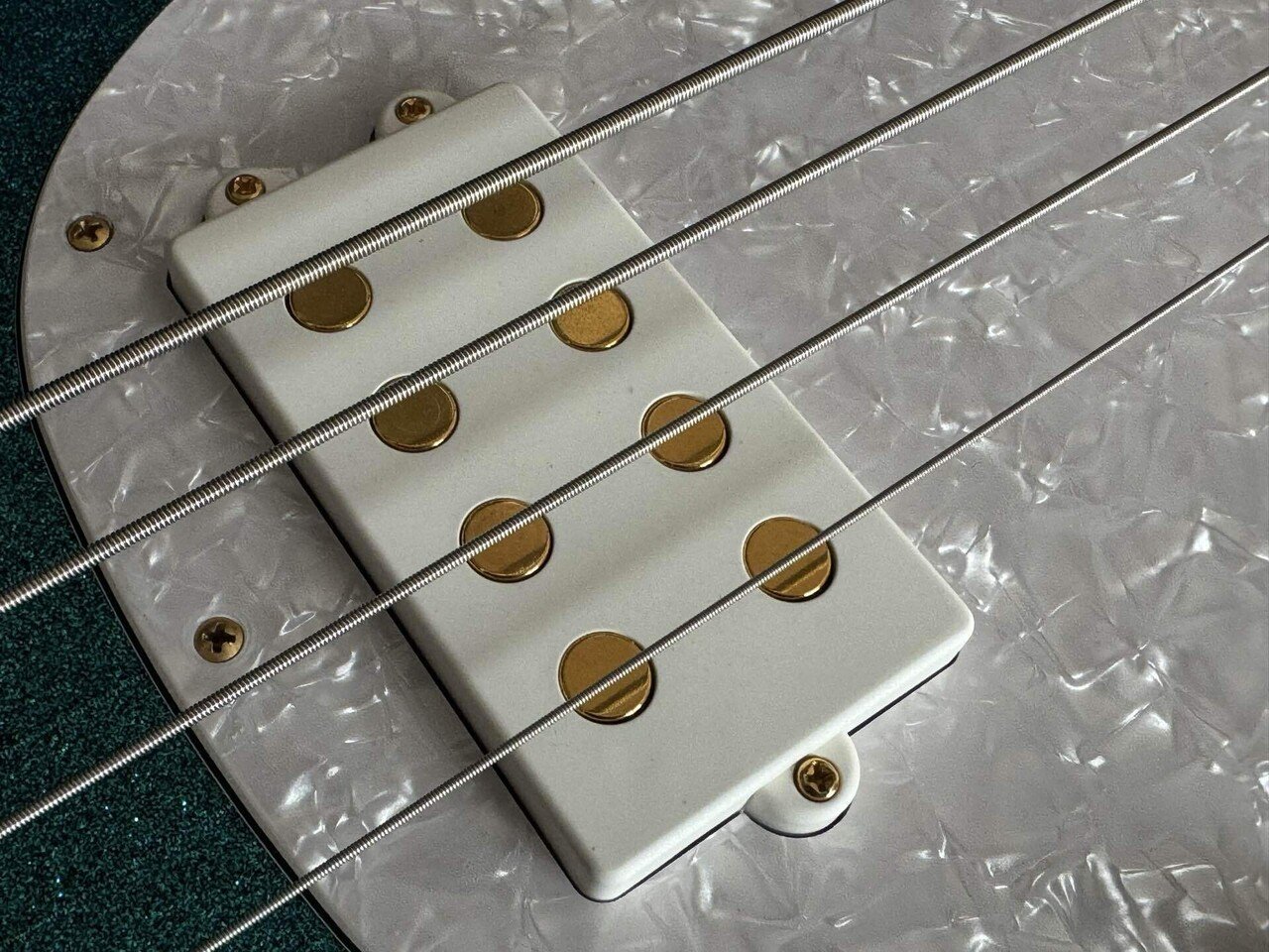 My New Gear【原点回帰②！！22年ぶりにMusicman Stingray