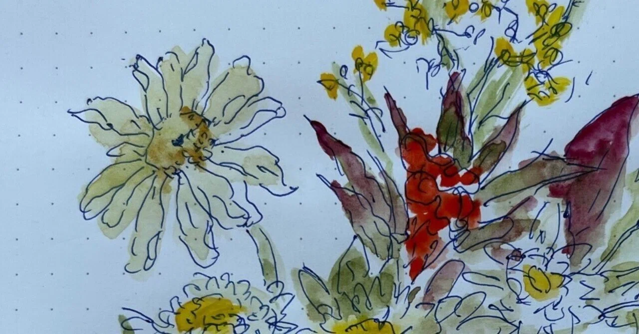夏の花スケッチ｜toti