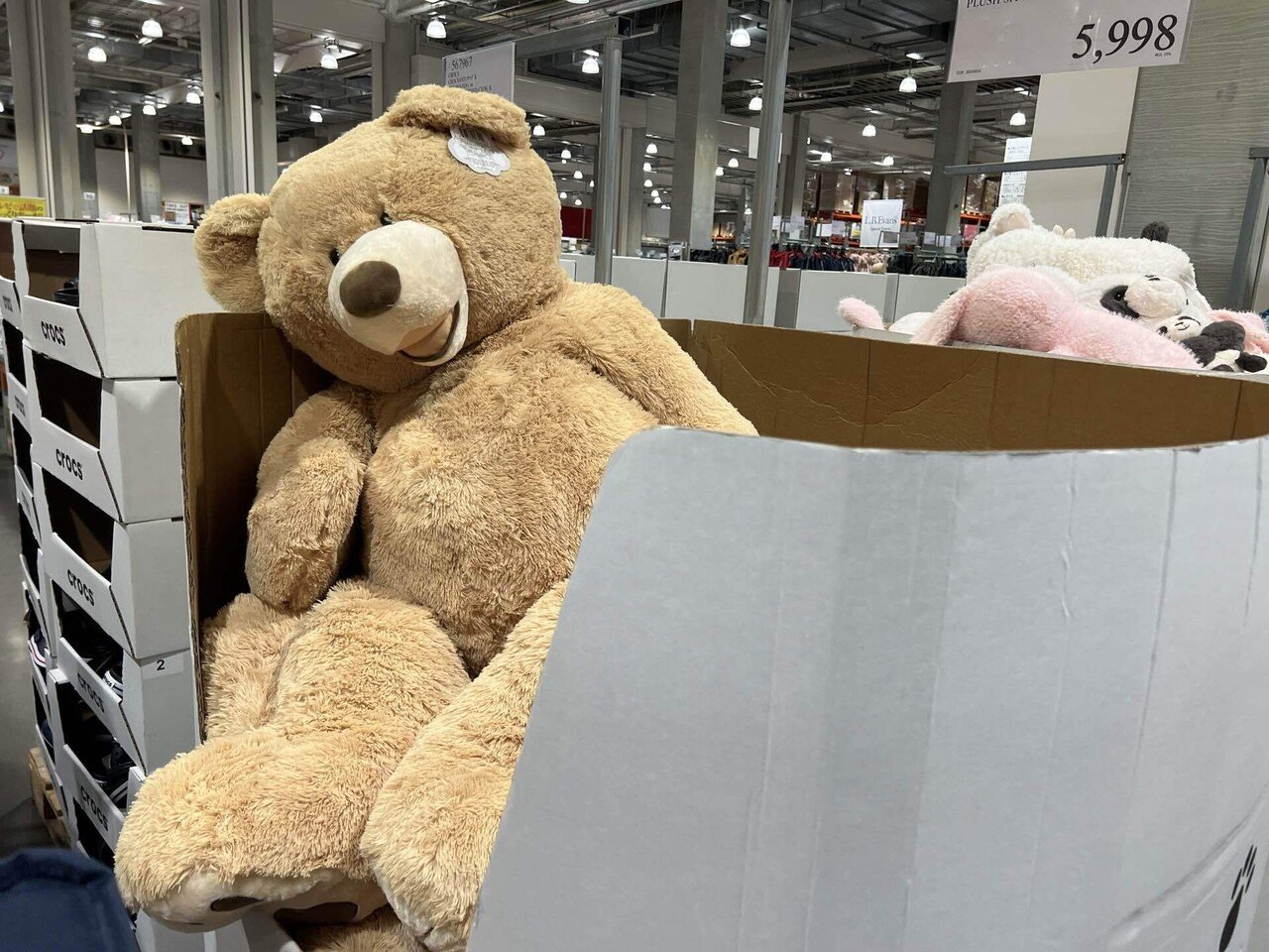 コストコに、今さらだけど生まれて初めて行ってきたよ！憧れのあれとご