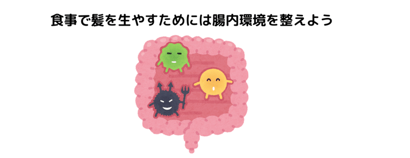 大豆イソフラボンが薄毛や抜け毛へ効果があるって本当 りょーすけ先生 髪ワザchannel Note 大豆イソフラボンが薄毛や抜け毛へ効果があるって本当 りょーすけ先生 髪ワザchannel Note