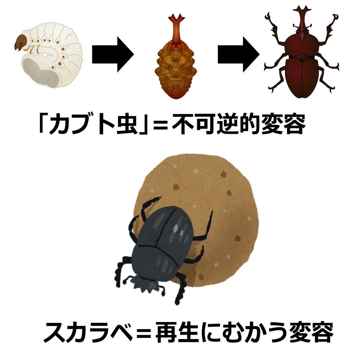 ジョジョnote ジョジョ第6部 14の言葉の完全解釈 Ver 2 0 酵母マン 医学部編入生 Ac 愛着障害 第3期 みんなで価値を創出しよう Note