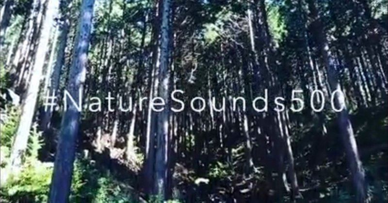 #NatureSounds500 台風後の森サウンド。(47/1000)