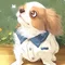raphaela1111/もう一度逢いたい