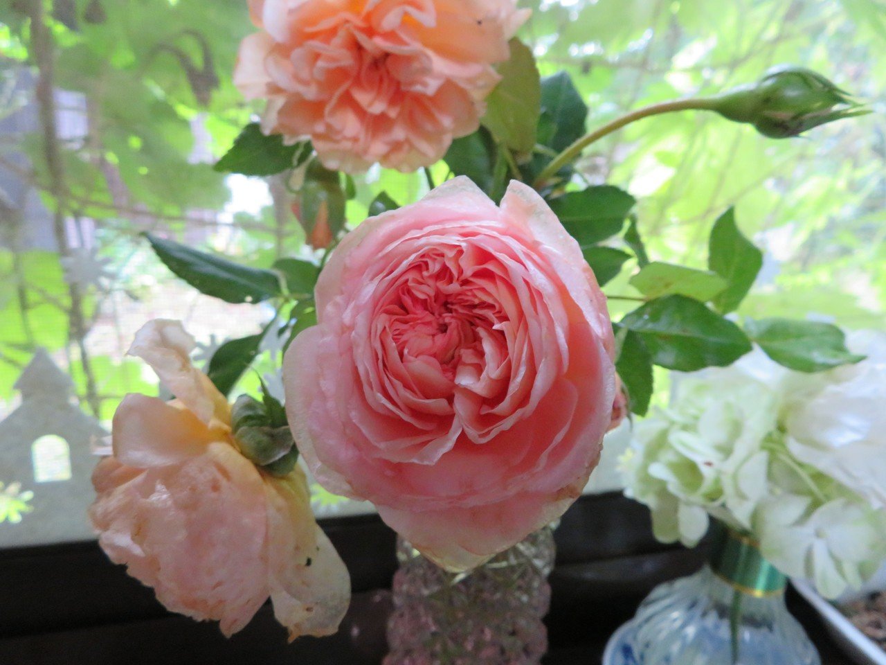 台風ときょうの薔薇 足袋猫 Note 台風ときょうの薔薇 足袋猫 Note