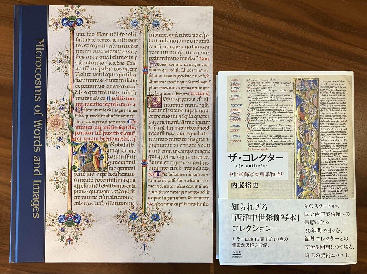 中世の彩飾写本・コレクターの情熱【国立西洋美術館】|Amy 中世の彩飾写本・コレクターの情熱【国立西洋美術館】|Amy