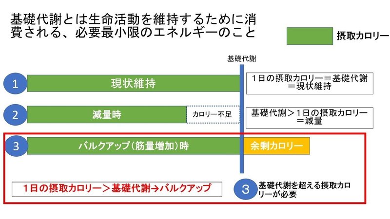 図解 筋トレ基礎知識 筋肉発達の仕組み フリート Note