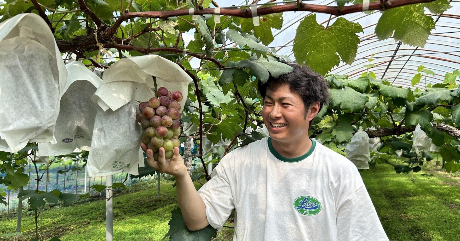 ぶどう様 果実の紹介｜間瀬農園｜ぶどう農園｜愛知県東浦町