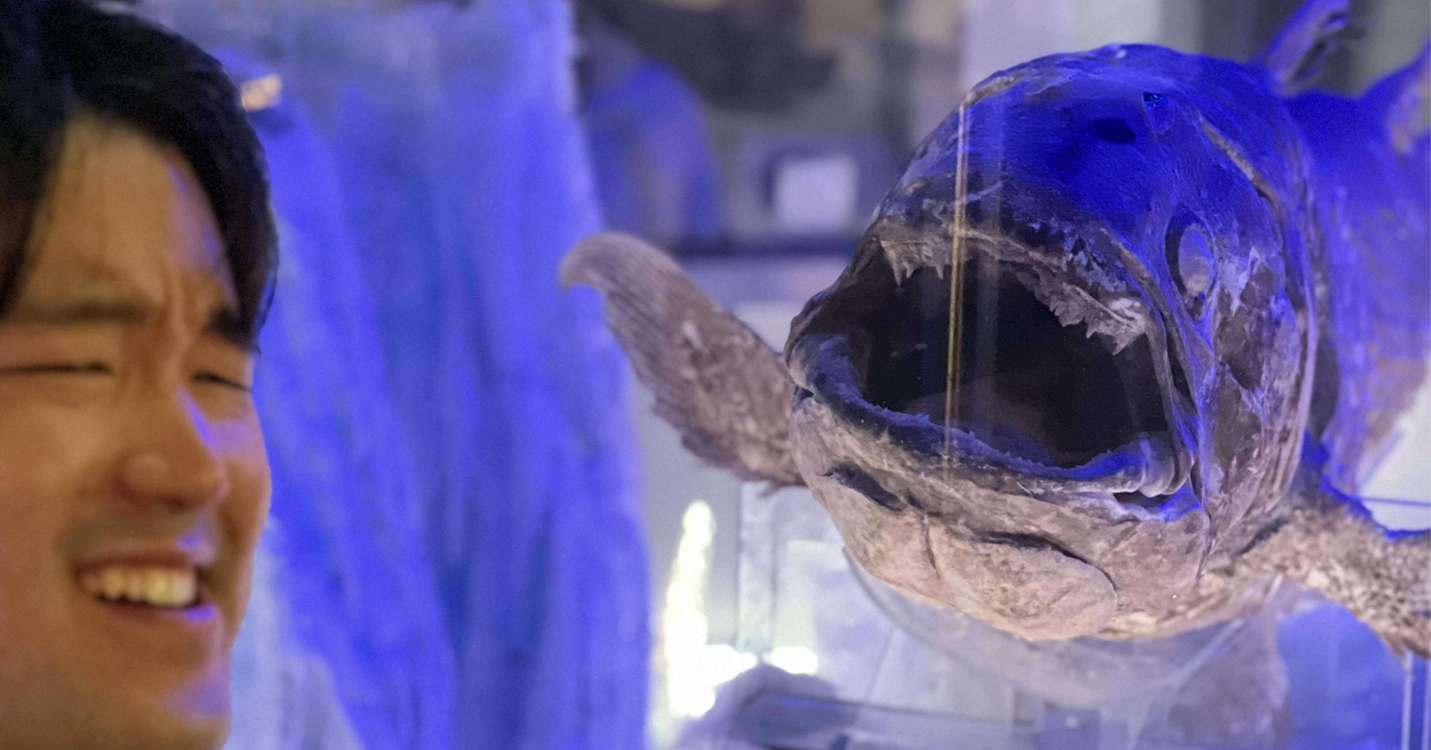 6aedc7929f77785f32791fe46a37f0