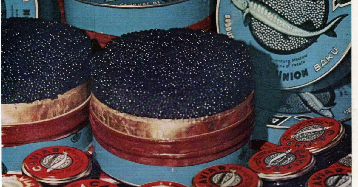 八百万百 人狼カード 400枚セット カードプロテクター オーバーガードZL Jr. パック[やのまん