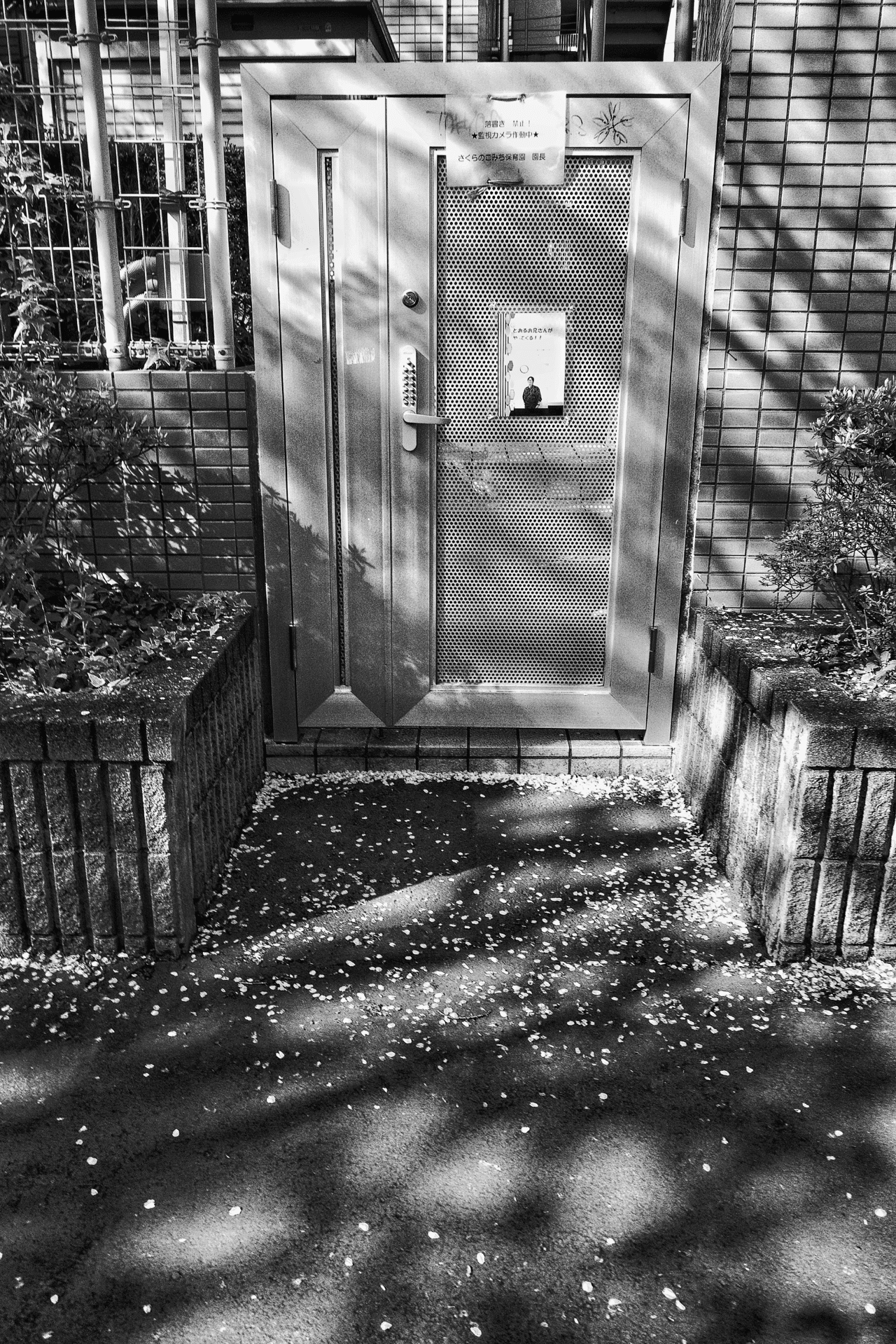 光と影を追い求めて｜🅣ⓄⓀⓎⓄ Ⓢ🅣ⓇⒺⒺ🅣 🄿🄸🅇