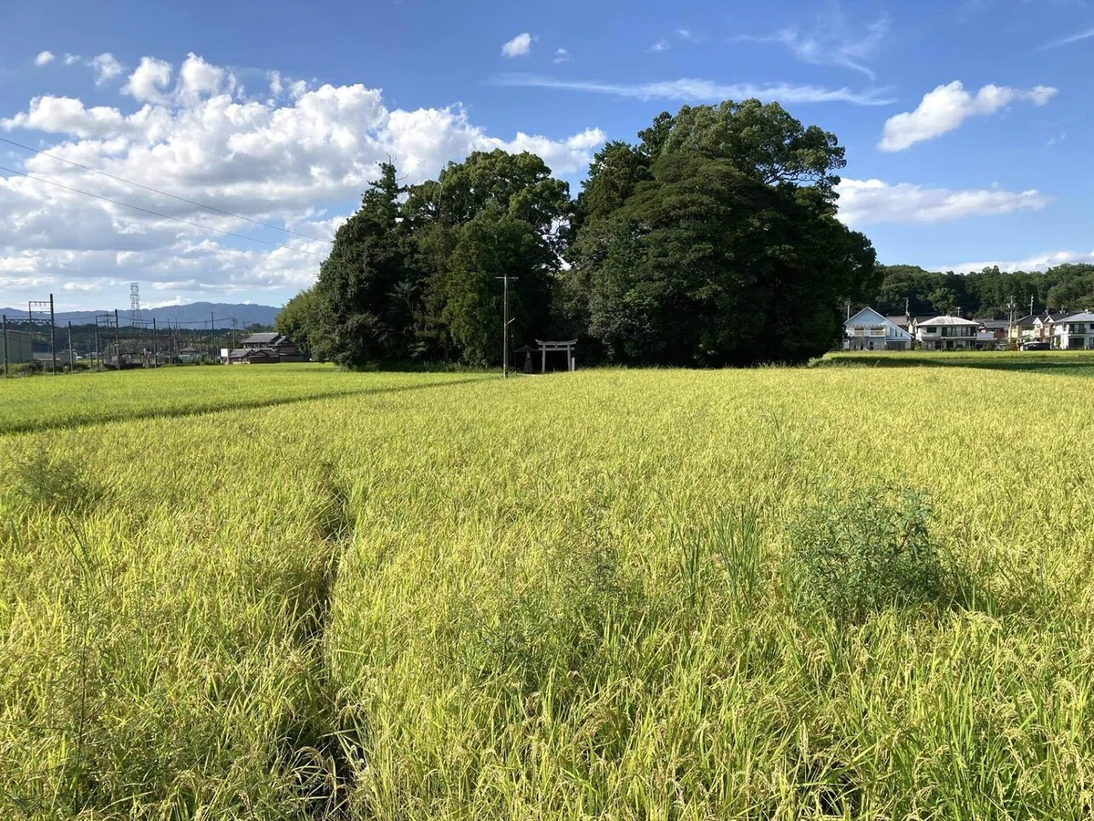 画像