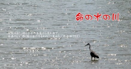 エゼキエル書 / テーラー，ジョン・B．【著】〈Taylor