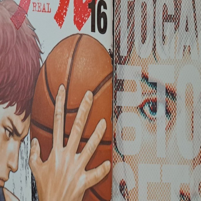 井上雄彦「リアル」16巻特製カバー リアル 16／井上雄彦 | 集英社 ― SHUEISHA ―