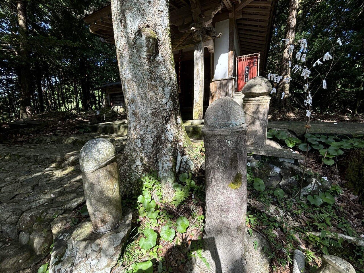 魔羅観音｜うに