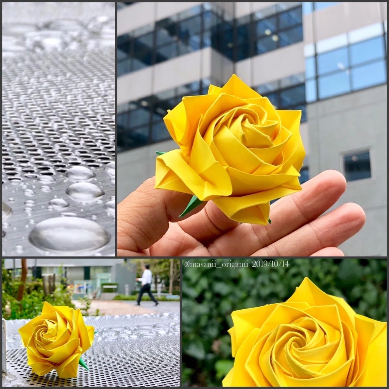 ニューモダンローズをモダンに撮る！ 〜街並みに映える「CANARY YELLOW