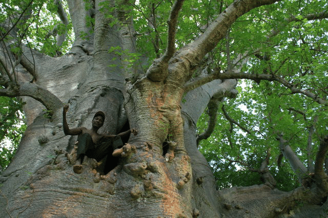 バタマリバ人の土地 クタマク 辺境 Note