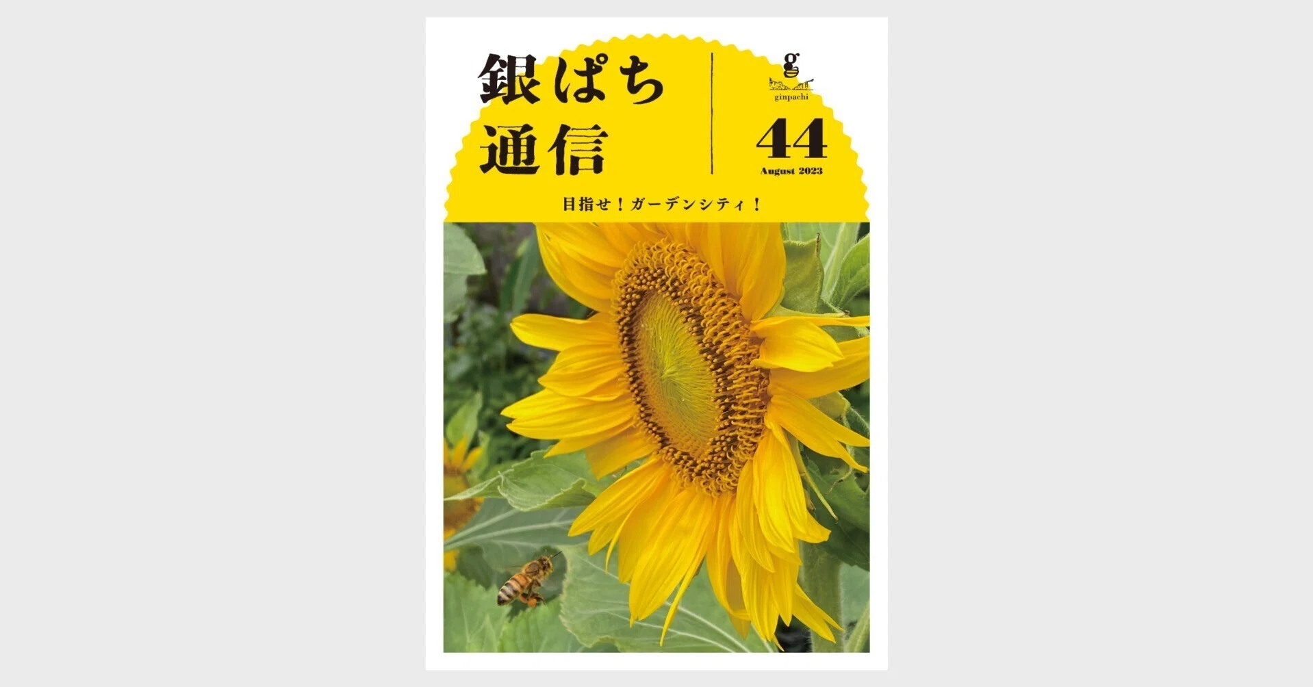 特集 銀ぱち流 東京銀座・蜜源植物図鑑2023｜銀座ミツバチプロジェクト